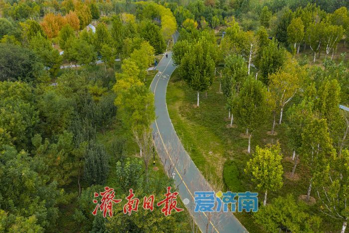 仲秋泉城绿意浓，济南中央森林公园铺展城市生态画卷