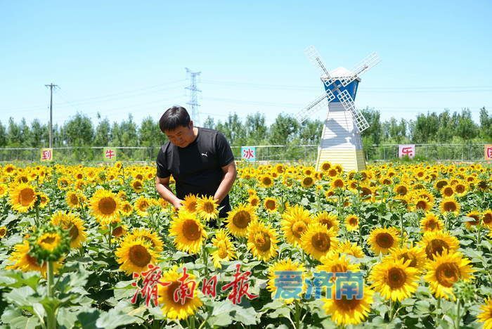 从贫困村蝶变为全国文明村 曲堤街道新农人带领乡亲吃上“旅游饭”