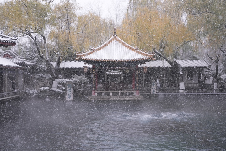 一年四季 泉在济南丨趵突泉“云雾润蒸”引客来