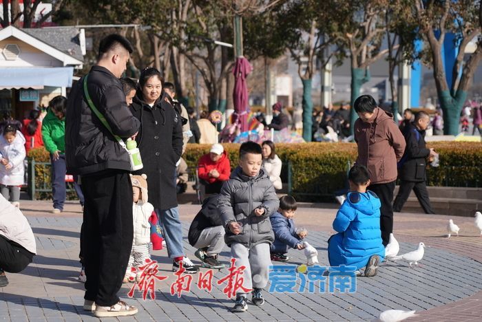 春风和煦，市民欢“鸽”笑语度周末