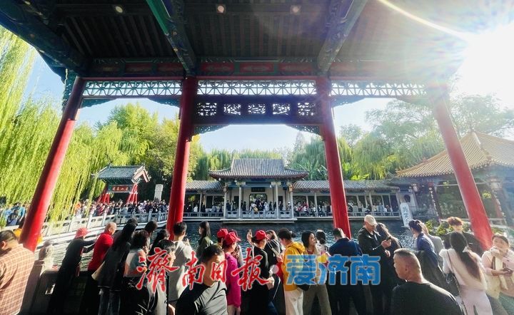 趵突泉畔菊正黄，一城秋色入花海