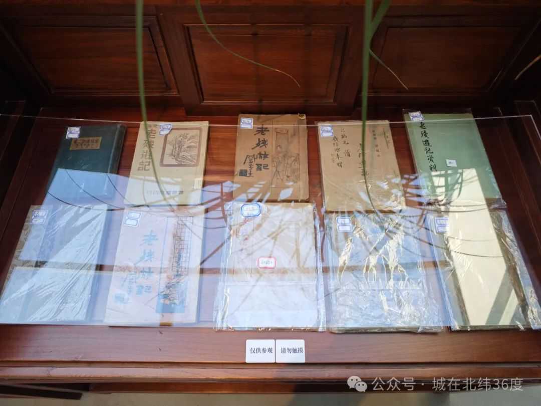 “泉”在济南享金秋｜济南明府城“上新”，遇见多重惊喜……