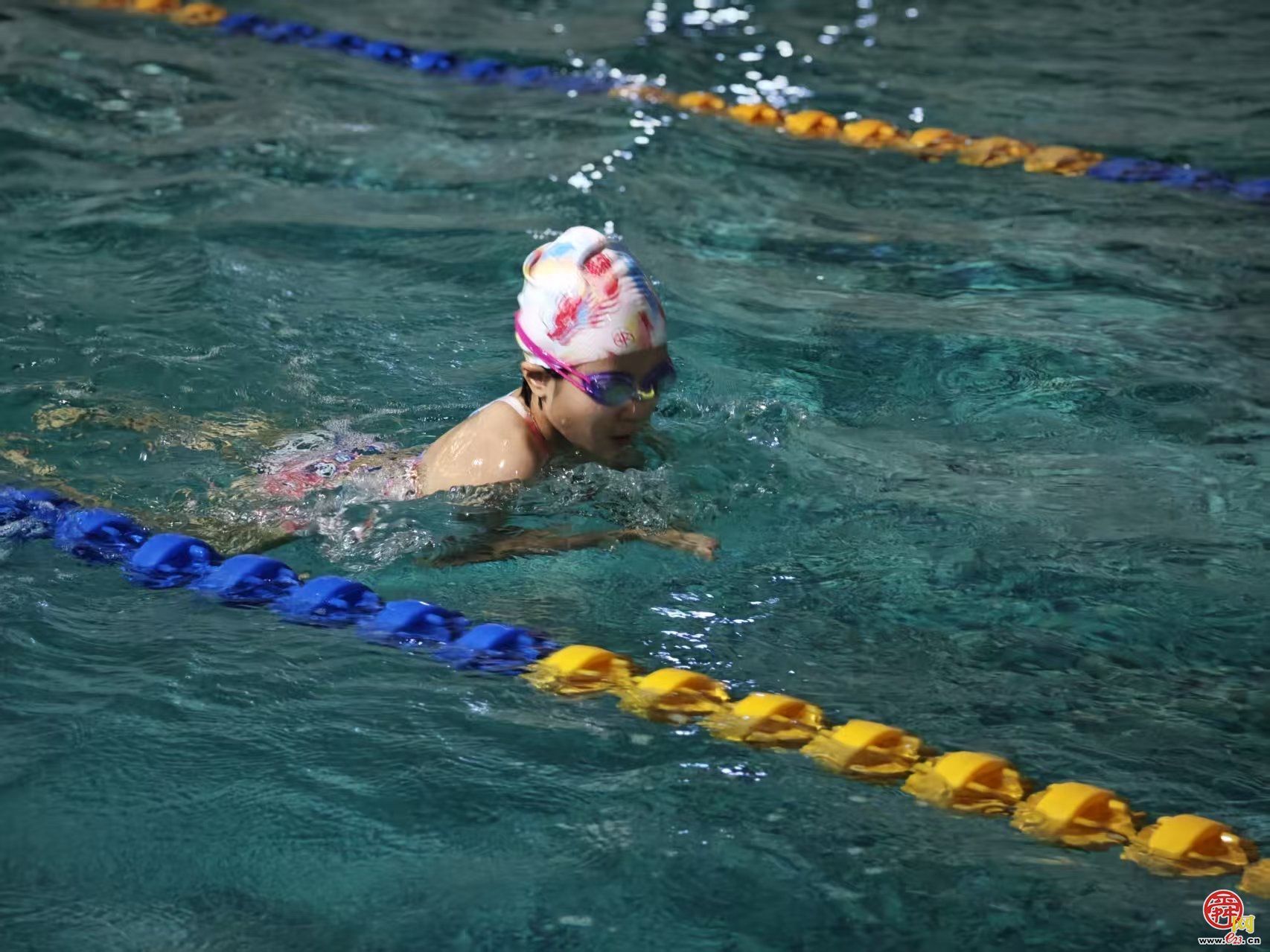 泳往直前！经纶小学首届家校社泳池赛场燃情开赛