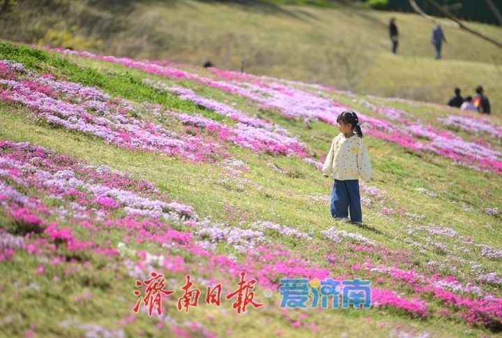 假期最后一天，济南这些地方不要错过！