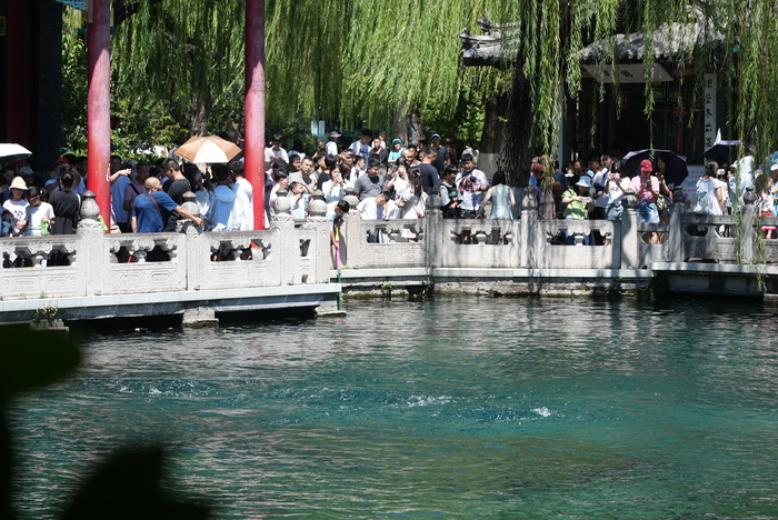 “泉”在济南过暑假｜水位“十连涨”！济南“趵突腾空”胜景重现