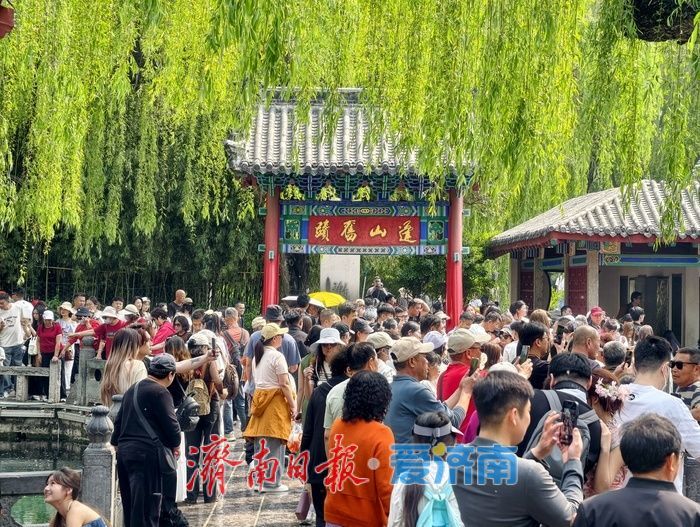 一年四季 泉在济南丨打卡无需“抢位”，暮春泉韵更怡人