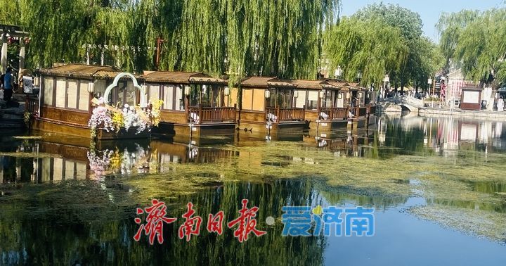 一年四季 泉在济南｜明府城上新，百花洲邀您临泉赏景