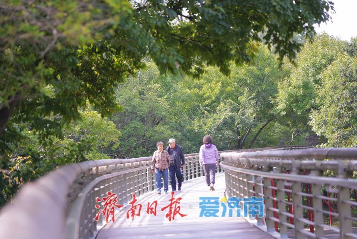 泉城公园秋景如画 晴日漫步赏秋享惬意