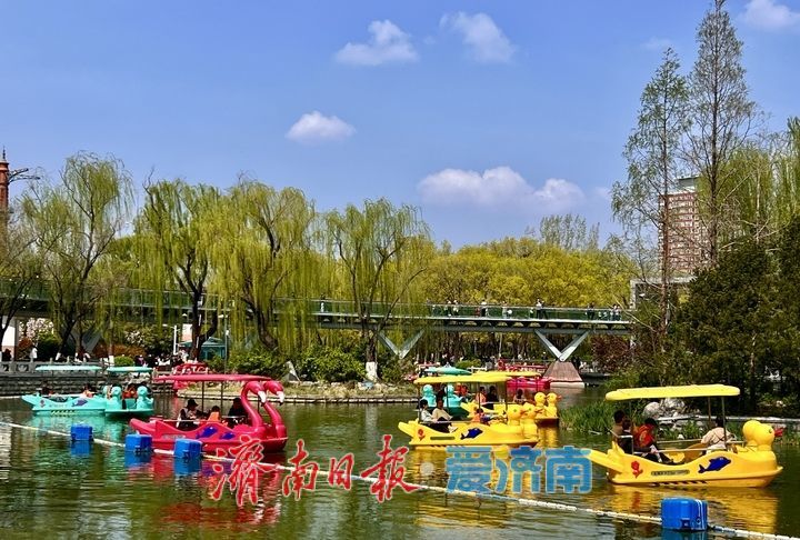 周末暖阳引客来 泉城春水泛舟忙