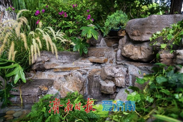清风携水雾，景致再焕新！趵突泉解锁夏日泉水纳凉新体验