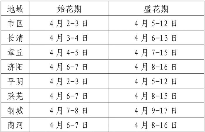 济南发布第二期花期预报，碧桃花、桃花、大樱桃花、梨花始花期较去年略偏早