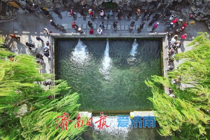 一年四季 泉在济南丨创20年来新高！济南黑虎泉水位持续飙升，声如虎啸