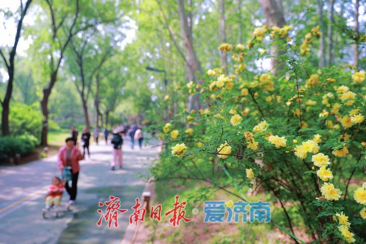 漫步赏春色 健身享周末