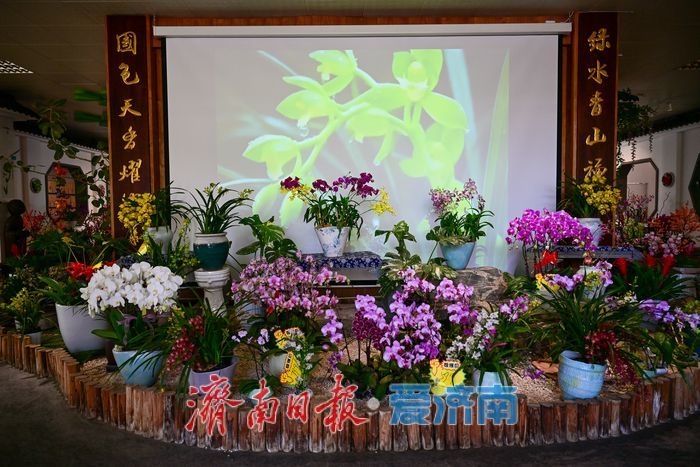 “三八”节探春意 温室成“亲子课堂”与“城市花房”