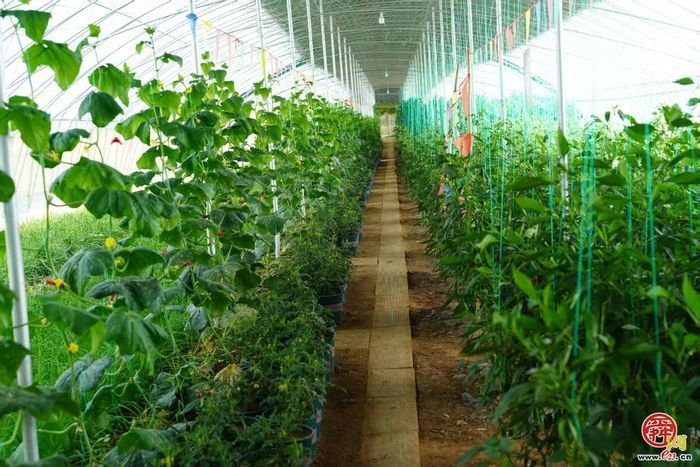 点击进入DeepSeek眼中玉清湖街道！