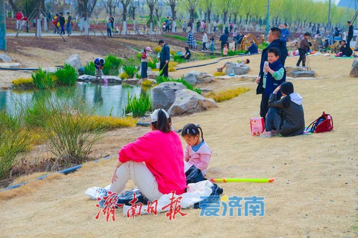 一年四季 泉在济南丨春拂白泉 草坪露营放风筝解锁市民春日休闲新场景
