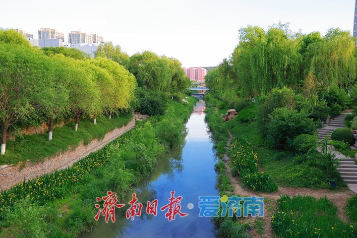 一年四季 泉在济南丨初夏风光无限好 乐享周末好时光