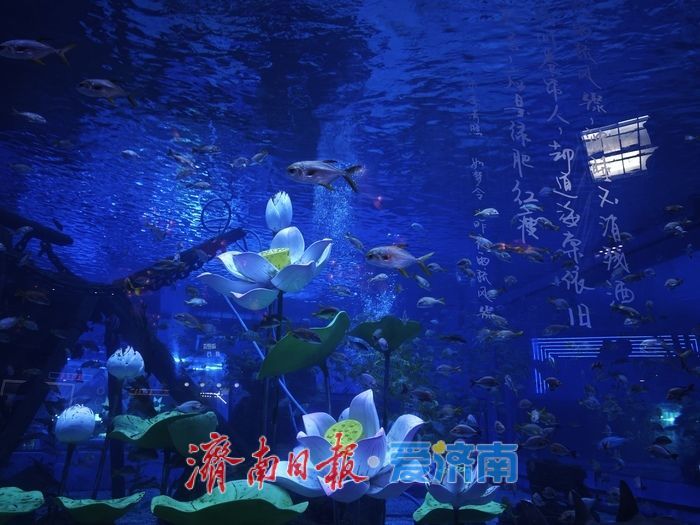 夏日经济新观察：消费热潮奔涌，民生底色愈浓