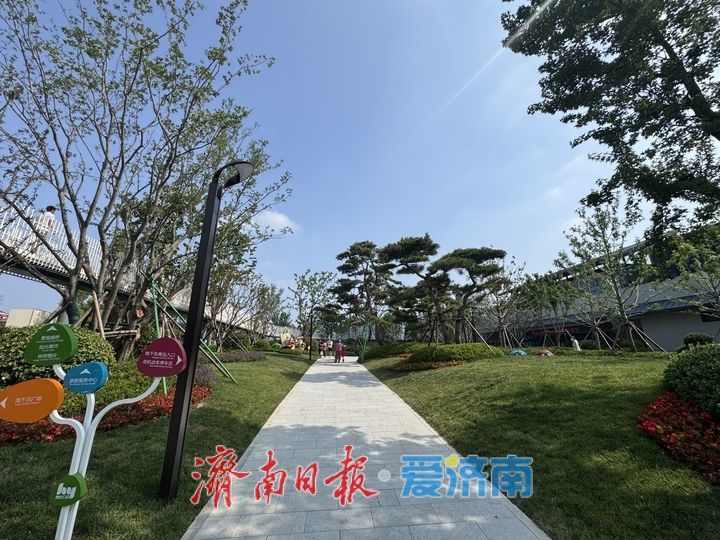 槐苑文化体育公园开放人气高涨 市民乐享夏日休闲时光