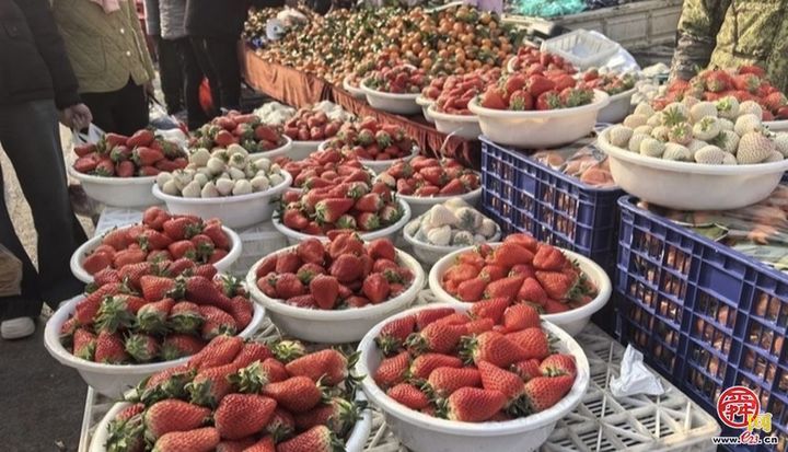 赶千年仲宫大集，烟火气里过地道中国年