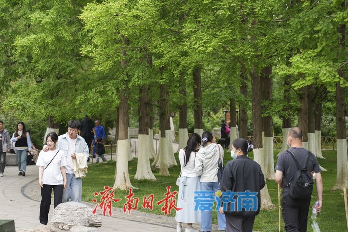 暮春时节绿意浓，济南五龙潭公园变身“绿野仙踪”