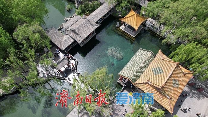 谷雨泉涌趵突盛 清泉映花入画来