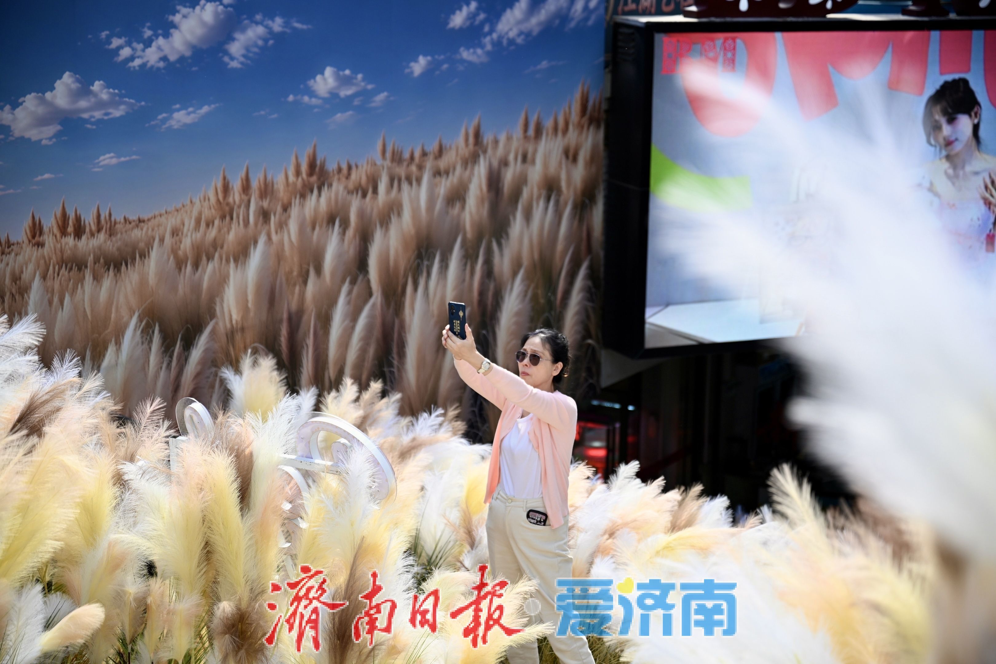 芦荻纷飞秋意浓 济南老商埠十一打卡热度持续攀升