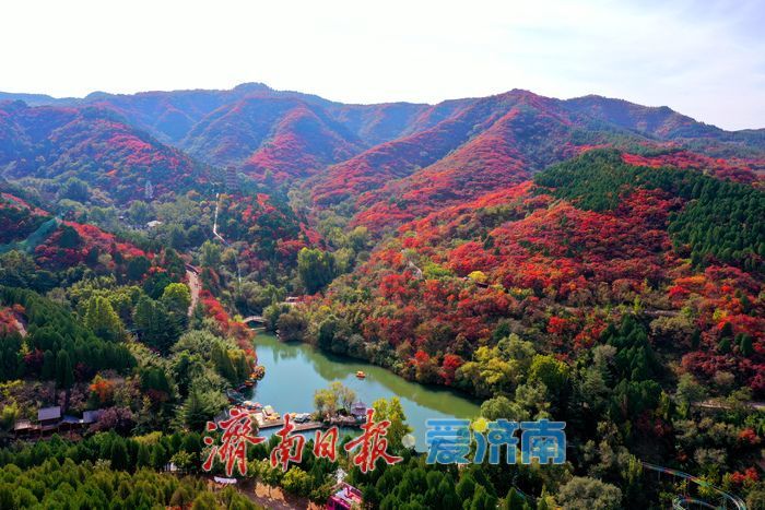 一年四季 泉在济南丨霜降点染山峦红妆 解锁济南红叶谷的高能时刻