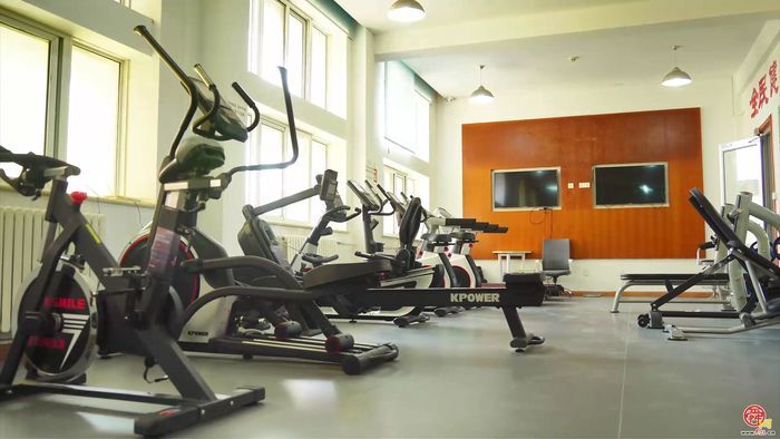 强省会建设丨历下体育：惠民赋能绘就健康生活新图景