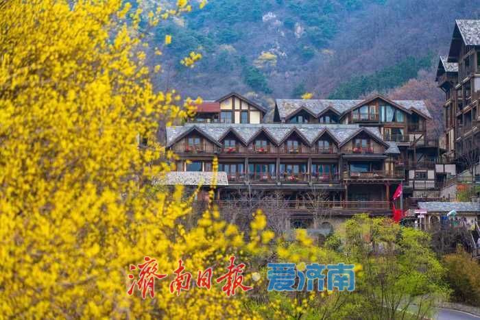 藏在济南的春日秘境！九如山繁花漫卷，解锁泉城踏青新方式