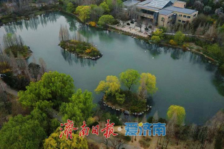 一年四季 泉在济南丨森林公园春色浓 生态美景入画来