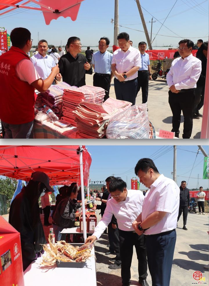 “泉在济南·游购乡村”商河县孙集镇第五届“河沟西瓜甜蜜采摘季”促消费活动盛大开幕