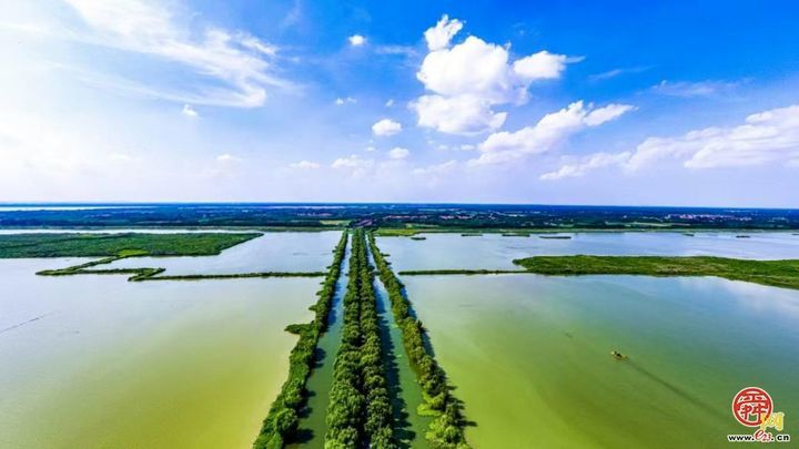 城市因园林更美好 生活因园林更幸福——2025年济南市园林和林业绿化局高质量成果展（生态建设篇）