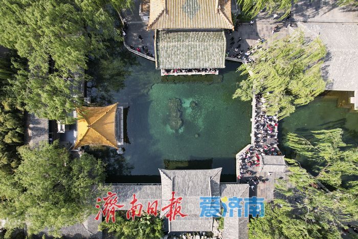 一年四季 泉在济南｜假期模式“不打烊”，趵突泉畔游人如织尽显泉城魅力