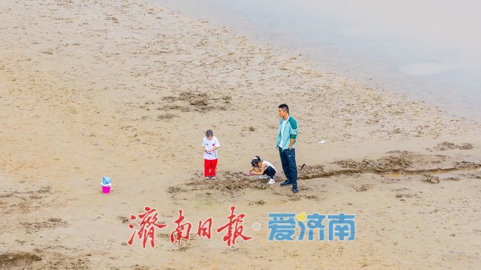 凶险！济南黄河岸边水位回落，别把滩涂当乐园