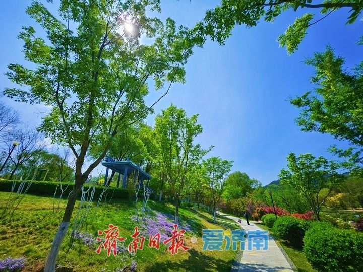 春意盎然满目新 龙鼎滨水公园尽展生态好风光