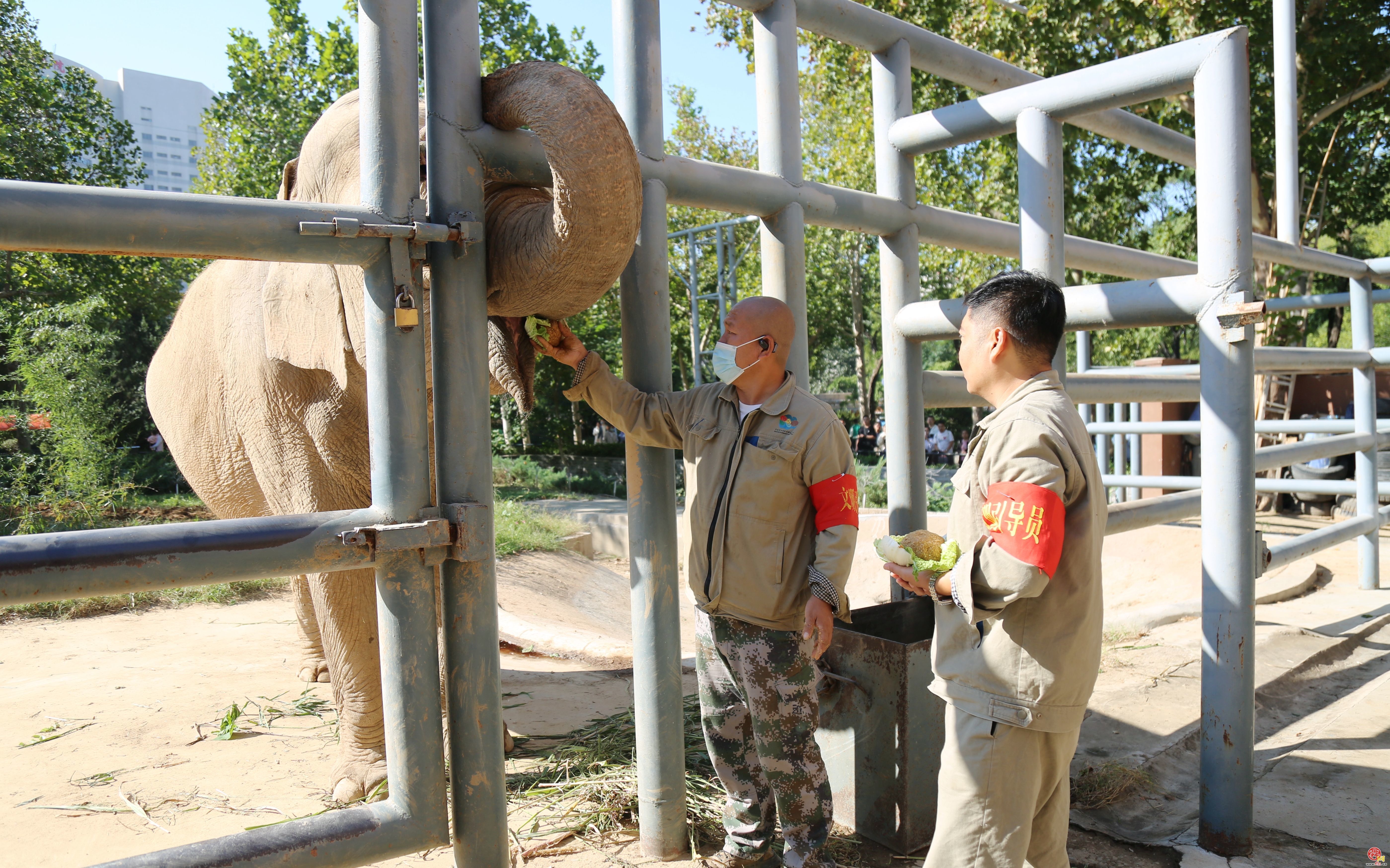 “泉”在济南享金秋 