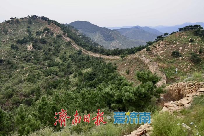 齐长城秋景如画 千年古垣诉说岁月古韵