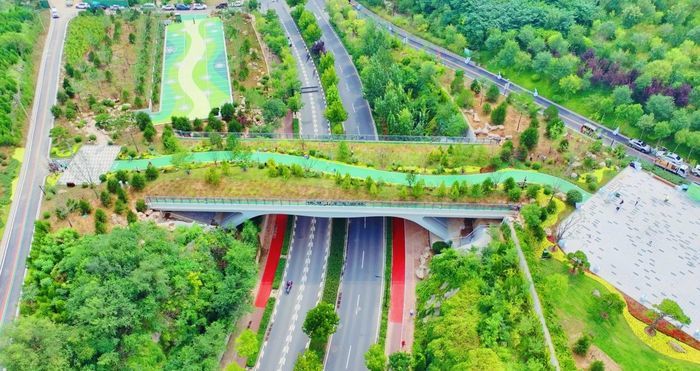 记录物种超两千种，发现濒危植物8种！济南千佛山—龙洞生物多样性调查成果丰硕