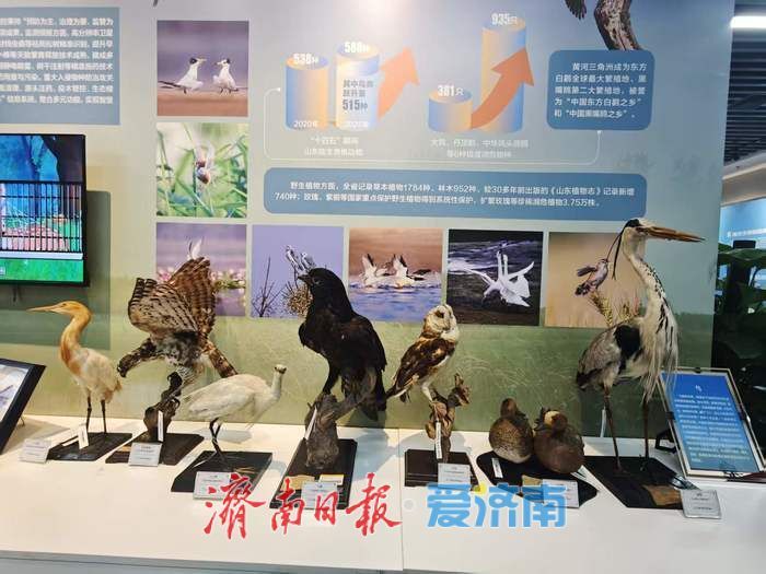 近3500人打卡！记者探访“从山顶到海洋”科普巡展山东站，泉轨共生、济钢卫星成亮点