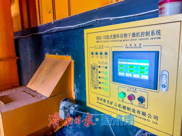 记者探章丘访粮食烘干服务点：日处理百吨湿粮守护“金玉米”