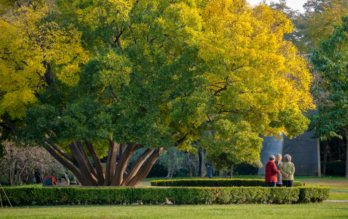 秋日限定！济南公园景区邀你共赴美好之约