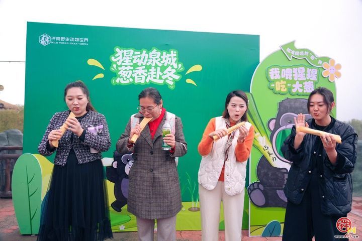 济南一山东明“猩”开启冬季大葱盛宴
