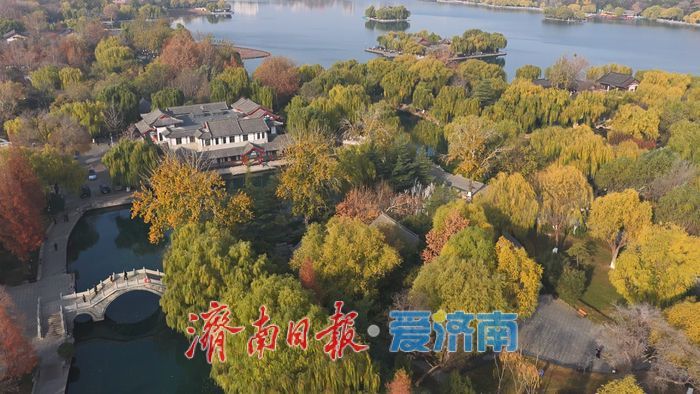 一年四季 泉在济南丨大明湖秋冬“混搭”美景正当时
