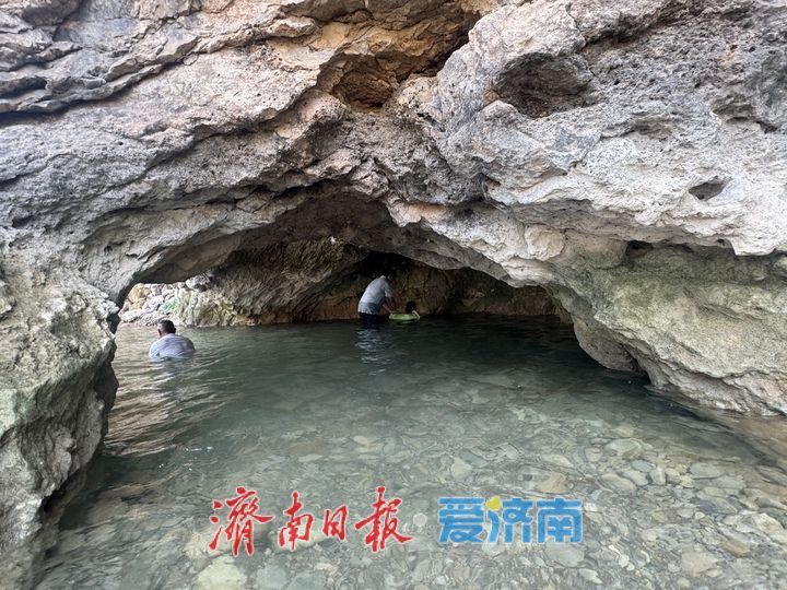 章丘西庵村戏水纳凉 乐享夏日时光