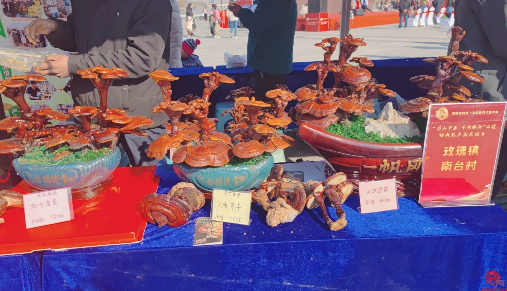 “泉”在济南过大年