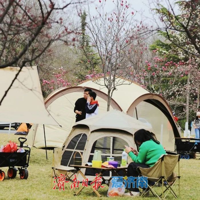 看玉兰花，还有济南植物园