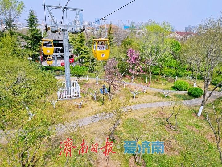 乘索道凌空览胜  空中视角解锁泉城醉美画卷