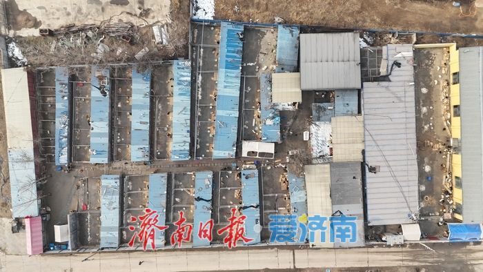 探访济南最大流浪动物基地 3000只“毛孩子”如何过冬