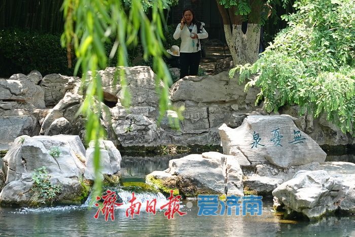 一年四季 泉在济南丨“泉如其名”，畅享无忧泉畔惬意时光